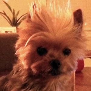 Meet your Posher, Keiko